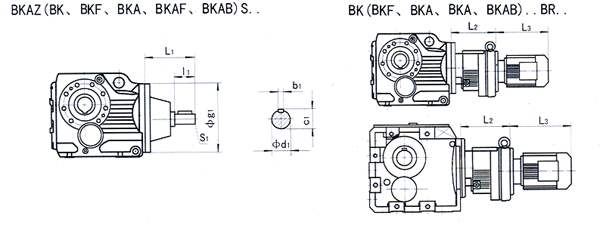 BK..S100……系列螺旋锥齿轮减速机安装尺寸
