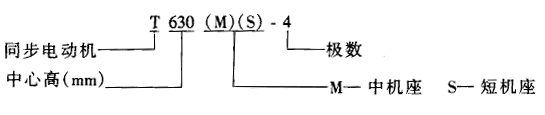 T系列中型高压三相同步电动机概述及结构简介与技术参数
