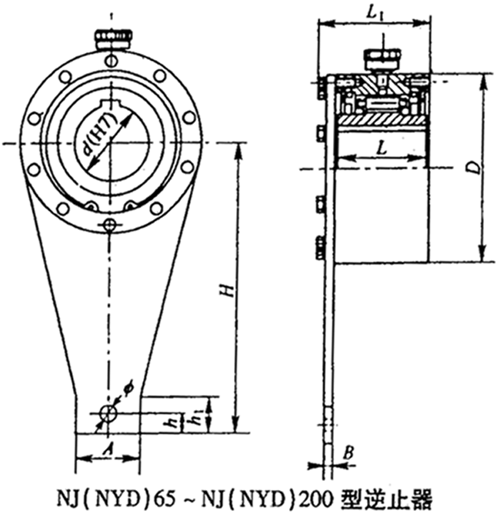 NJ（NYD）65～NJ（NYD）200型逆止器基本参数及主要尺寸